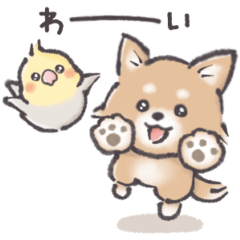 Pet loving sticker :)