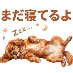 Ruby Cavalier Care Sharing Stickers