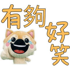 Moving Taiwanese Pekingese 34