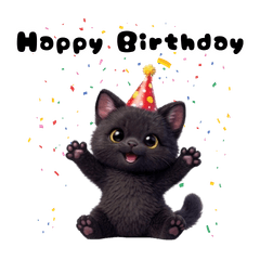 All Seasons! Fluffy Black Cat Events