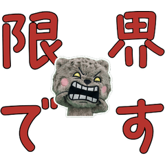 Moving Polite Pallas's cat 12