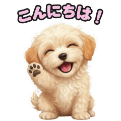 Mixed Dog Series Maltipoo