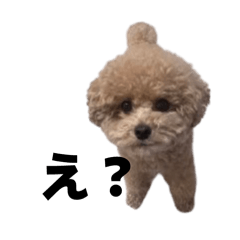 Tyatya._20260217220131