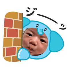 Rin stamp 2026