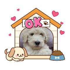 Sakura_20260217221439