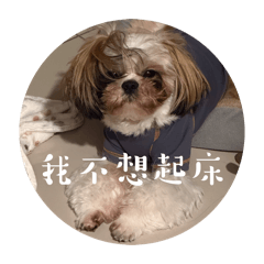 我是奇諾