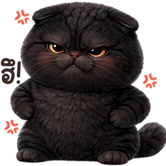 ❤️เหมียวดำ น่ารัก❤️