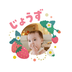 Koyagi_20260217224931