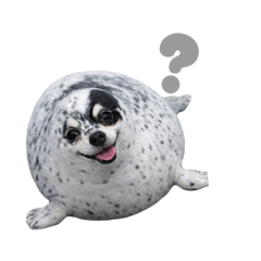 minori_20260217225343