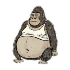 shark_20260215080847