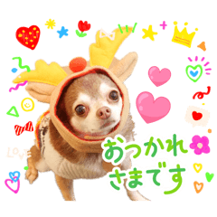 mahinayasumoto_20260218000843