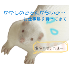 Suzu_20260218095827