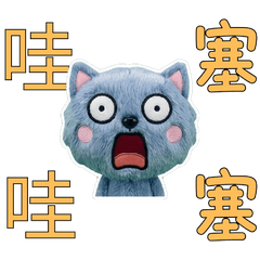 Taiwanese Nebelung 33