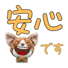 ตุ๊กตาแมวเดวอนเรกซ์ 9th