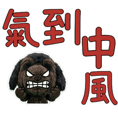 Taiwanese Newfoundland 33