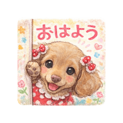 yokko_20260218001141