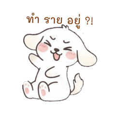 NongIrene_20260217223150