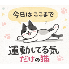運動してる気だけの猫
