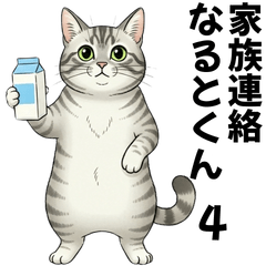 American Shorthair Naruto Family Message