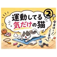 運動してる気だけの猫②【ゆる増量】