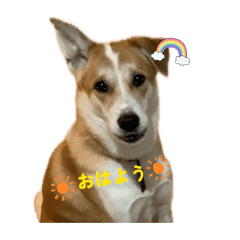 megumi_20260218111833