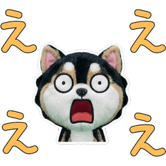 Moving Plush Pomsky 10