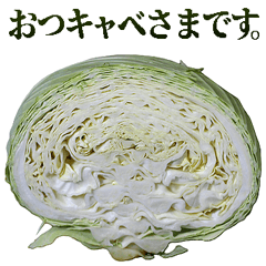 Honorific Cabbage