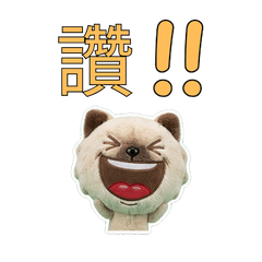 Taiwanese Minuet Cat 33