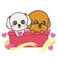 Yabe Customer Service