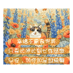 Meowster_20260218050316