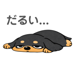 mikimaru_20260218114347