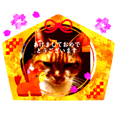 Kaede_20260215194722