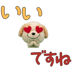 คำสุภาพ ปอมปู 11