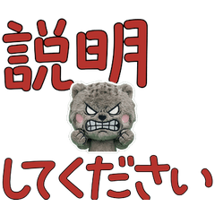 คำสุภาพ แมวพัลลาส 11