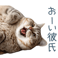 Mental Health Girlfriend Cat