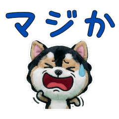 ตุ๊กตา ปอมスキー 9th