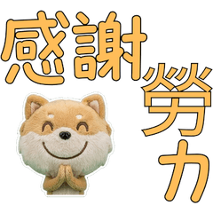 ภาษาไต้หวันขยับได้ ปอมชิ 34