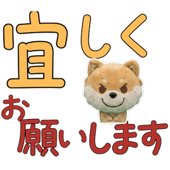 คำสุภาพ ปอมชิ 11