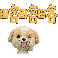 ภาษาไต้หวันขยับได้ ปอมปู 34