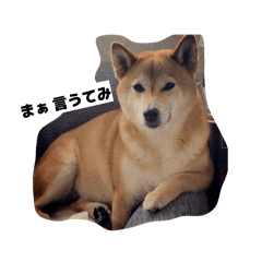 gunma_20260218211925