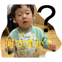 miya_20260218132858