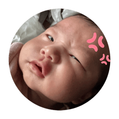 lay_20260218135513