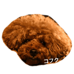 Kimika_20260218222304