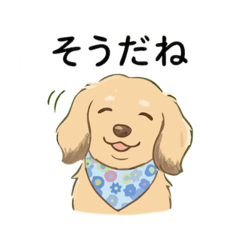 tomo tomo_20260218120435