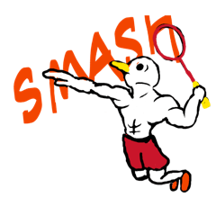 Kata kou_20260218151733