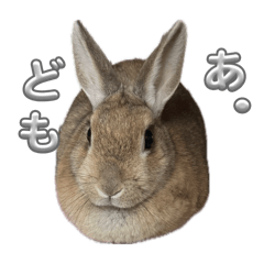 MillaYui_20260218150839