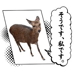 osaho_20260218151047