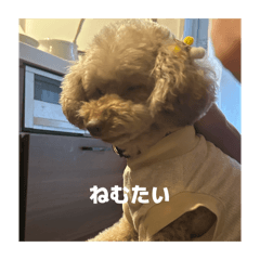 koume5555_20260218200734