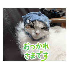 kururun_20260218223137