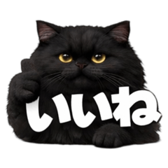 猫猫ブラック